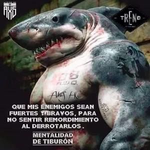 Meet your Posher, Javier